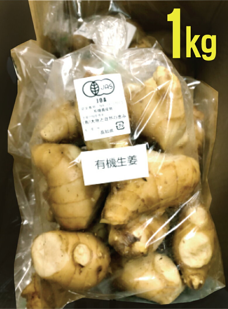 有機 しょうが1kg★高知県産★有機JAS認証（無農薬・無添加）★無農薬生姜★茎は付いていません。 2