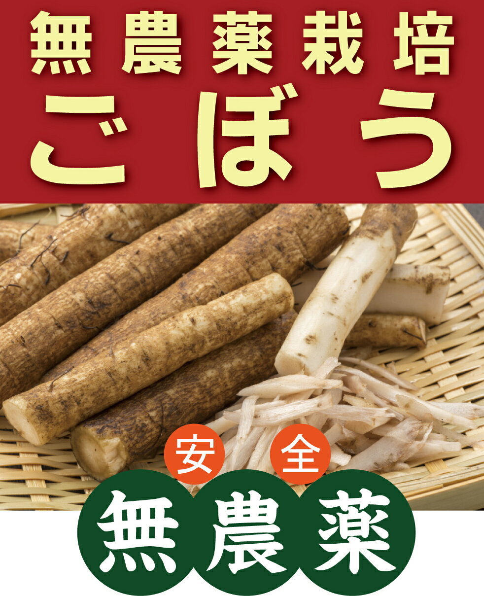 無農薬 新ごぼう 200g 1パック★群馬県産★無農薬・無添加★定方さんの水田サラダごぼう やわらかくサラダに合います 