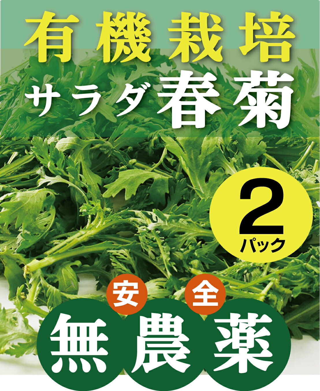 ◎生産者：ぐりーんはーと（島根県浜田市）有機JAS認証（農薬0回） サラダ春菊は葉がやわらかく、香りもマイルド。 まさに生食用に向いている春菊なんです。 緑黄色野菜でもトップクラスの栄養があります。 抗酸化作用があり、体内でビタミンAに変わるβカロテン、 皮膚や粘膜を健やかに保ち、風邪予防にも重要なビタミンC、 強い骨づくりに必要なカルシウム、貧血予防に役立つ鉄分、 妊娠初期の女性にはとても大切な葉酸などもたっぷり含まれています。サラダ春菊は葉がやわらかく、香りもマイルド。 まさに生食用に向いている春菊なんです。 春菊は緑黄色野菜でもトップクラスの栄養があります。 抗酸化作用があり、体内でビタミンAに変わるβカロテン、 皮膚や粘膜を健やかに保ち、風邪予防にも重要なビタミンC、 強い骨づくりに必要なカルシウム、貧血予防に役立つ鉄分、 妊娠初期の女性にはとても大切な葉酸などもたっぷり含まれています。 生で食べると苦そうなイメージですが、生でも美味しいんです。 お鍋でもグツグツ煮込まないで、サッとゆでて食べるの方が 絶対に美味しいんです。 煮込み過ぎると、味も栄養も台無し。 お野菜の発送は月曜日と金曜日のみとなりますのでご了承ください。