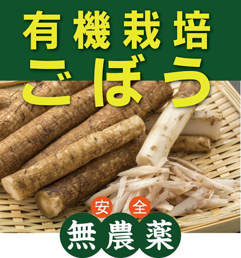 有機ごぼう200g×2パック★青森・岩手県産★有機JAS無農薬・無添加 有機ごぼう200g×2パック★青森・岩手県産★有機JAS無農薬・無添加