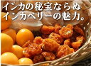 アンデスのスーパーフード無添加ほおずきの実 有機インカベリー(ゴールデンベリー)60g×2パック★程良い甘みと酸味の絶妙なバランスと粘りのある食感。ビタミンA、C、B1、B6 や鉄分等のミネラルが豊富。★有機JAS認証