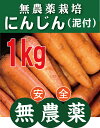 無農薬人参 ニンジン(泥付き)1kg★千葉県産★無農薬・無添加