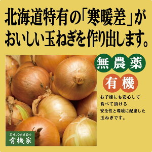 北海道産有機玉ねぎ5kg（約18～20個）★有機JAS認証（無農薬・無添加）★北海道産★個数はあくまで目安です。