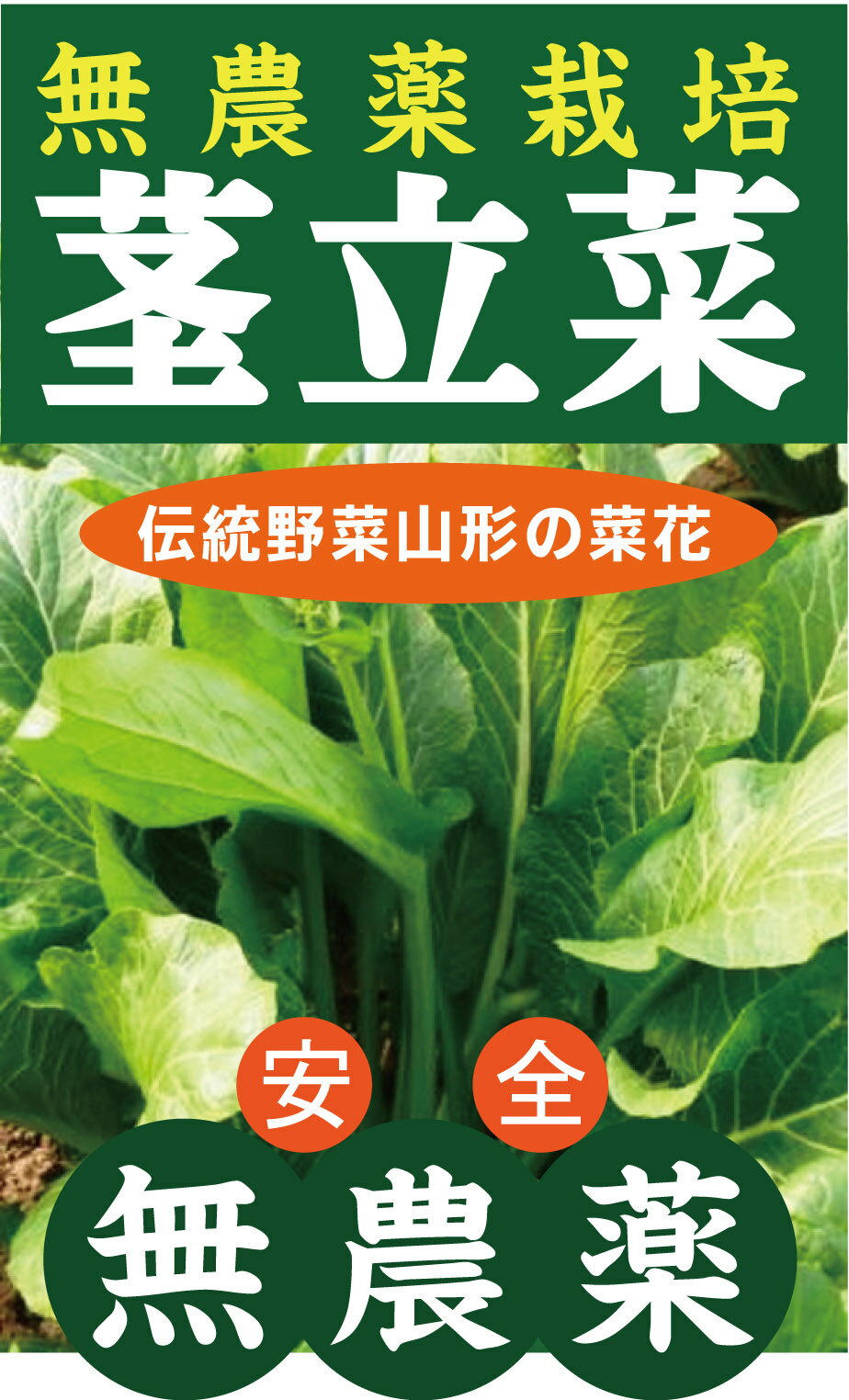 無農薬菜花　茎立菜（くきたちな）200g×1パック★伝統野菜山形の菜花★無農薬・無添加★山形県産のサムネイル