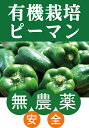 ◎生産者：崎山聡、史恵夫妻（沖縄県南城市）★有機JAS★農薬0回・化肥0回2016年マドンナ来日のときに 有機野菜を注文され 提供したピーマンを育てている 崎山聡、史恵夫妻。 その時の、驚きと 有機農法に打ち込んだ意義を 改めて感じたという。 世界の人に、安全で美味しい 野菜を届けたい二人なのです。 お野菜の発送は月曜日と金曜日のみとなりますのでご了承ください。