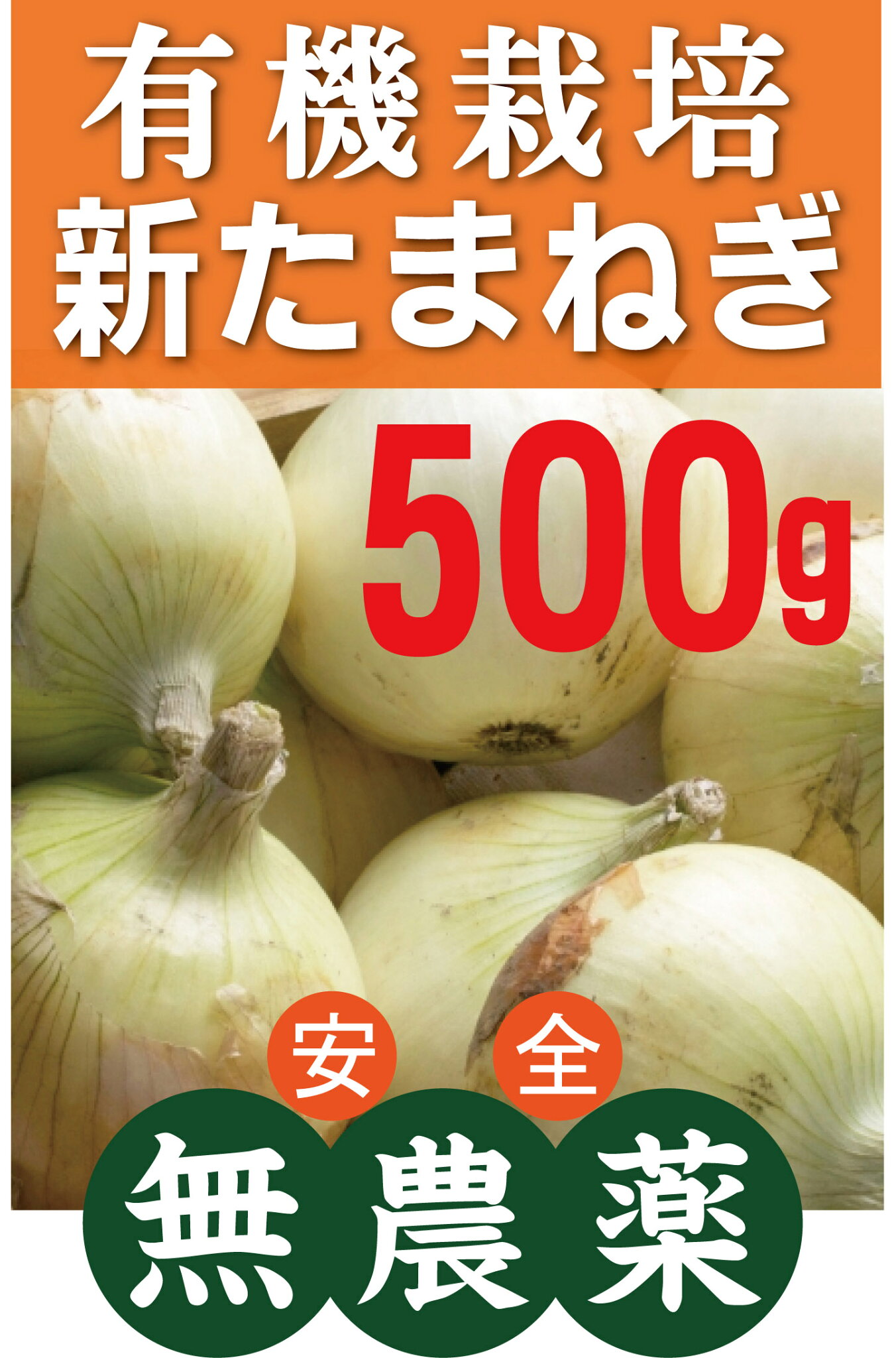 有機 新玉ねぎ500g★無農薬・無添加★長崎県南島原市産