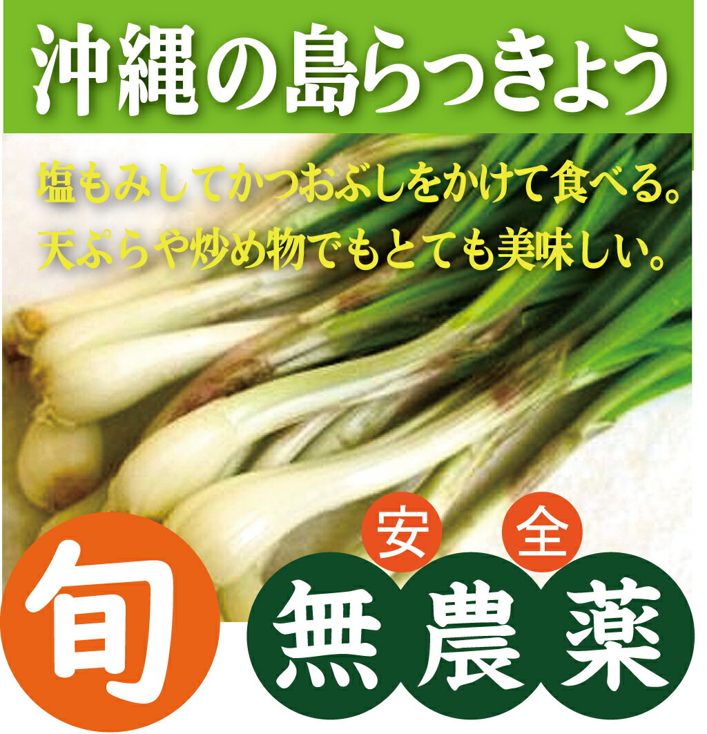 楽天市場】無農薬 島らっきょうの通販 楽天市場】無農薬 島らっきょうの通販