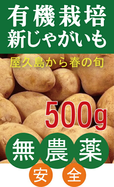 有機 新じゃがいも500g★鹿児島県屋久島産：にしゆたか★芽止め処理無し