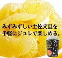 無添加 のむ土佐文旦ジュレ180g×6個セット ■宅配便 ■高知県産土佐文旦果汁をふんだんに使った寒天飲料ジュレ。