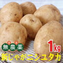 無農薬 長崎産 新じゃが・にしゆたか1kg(★無農薬・無添加★芽止め処理無し