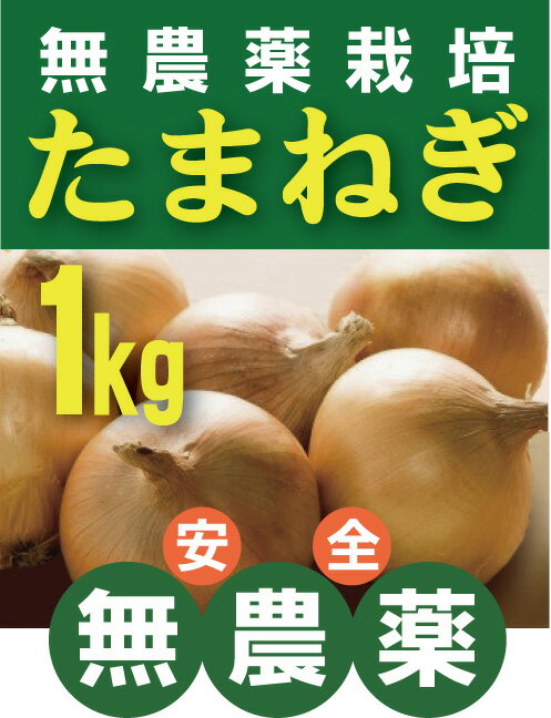 無農薬 玉ねぎ1kg無農薬・無添加★長崎県南島原市産