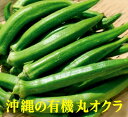 有機 丸オクラ100g×1パック★沖縄県産★有機JAS(無農薬・無添加)