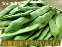 有機平さやいんげん80gパック(約5~8本)★青森県横浜町産★有機JAS認定