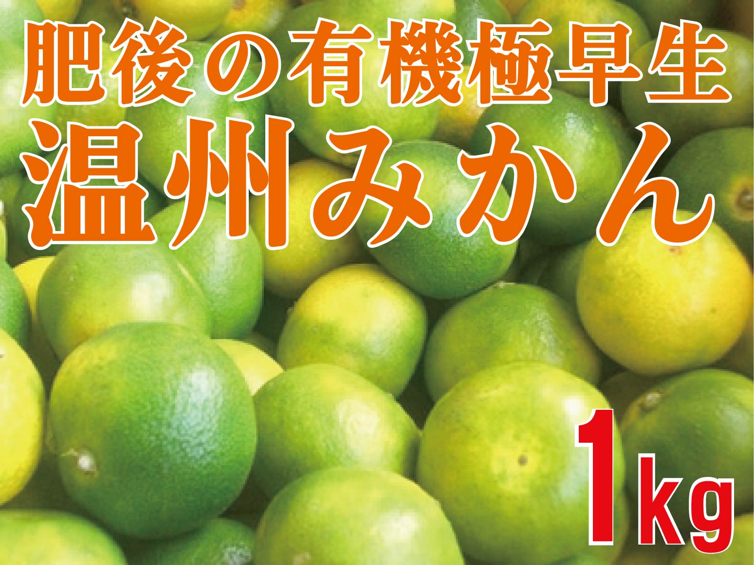 肥後の有機極早生温州みかん1kg★有機JAS認証（無農薬・ノーワックス）★熊本産：生産者：肥後あゆみの会のサムネイル