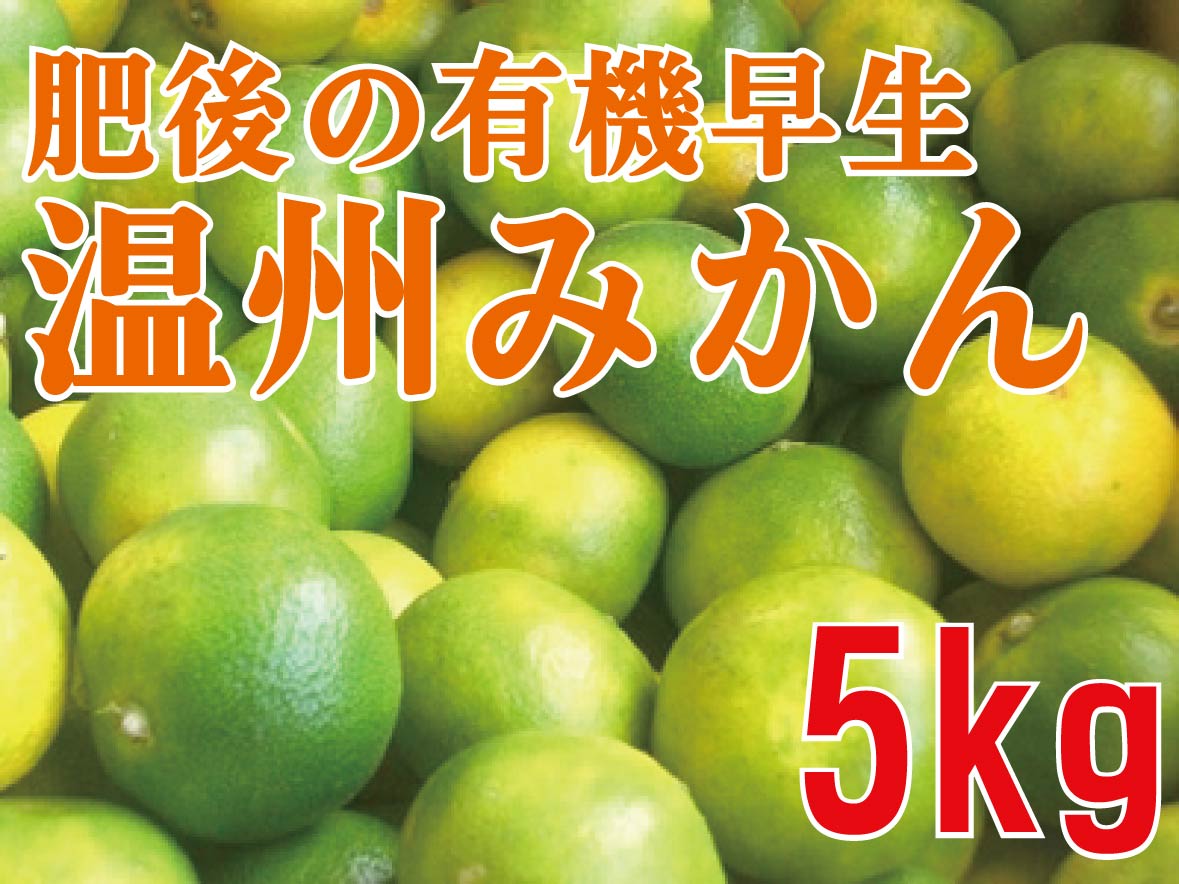 肥後の有機早生温州みかん5kg★有機JAS認証（無農薬・ノーワックス）★熊本産：生産者：肥後あゆみの会(4)