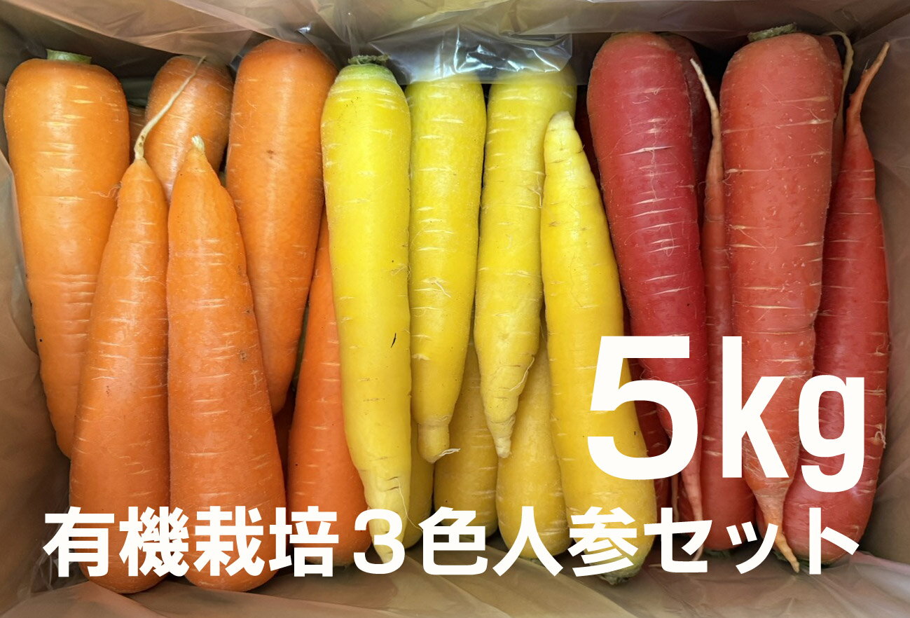 有機栽培3色人参（洗い） 5kg箱★群馬県産★オレンジ色・黄色・赤色の3種人参のセット★有機栽培・無添加★..