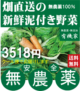 旬の無農薬100%野菜セット3518円(送料無料・月、金曜日発送)★有機家の長年の人気野菜セット★卵同梱セットや牛乳同梱セットも有ります。