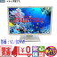 【中古】送料無料 中古 富士通 FUJITSU VL-B24W-7A 24.1インチ TFTカラー液晶モニター 高解像度 1920×1200ドット スピーカ搭載 最大1677万色 訳あり