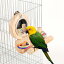 鳥のおもちゃ 鳥 セキセイインコ おもちゃ インコ 止まり木 とまり木 鏡 鳥かご ケージ