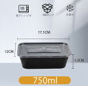 使い捨て箱 300個入れ 15.5*15.5*4.5cm 750ml 使い捨て 容器 弁当箱 pp材質 食品レベル 環境保護 キャンプ ピクニック 家庭用 料理...