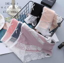 【送料無料】おすすめ 薄手 100kg ショーツセット 可愛い 超盛 5枚セット 安い パンティ 快適 大きいサイズ レース 軽い パンツ 三角 ショーツのみ ...