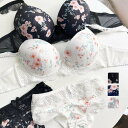 【送料無料】ショーツセット 谷間ブラ ブラジャー ブラ 小胸 ブラセット 通気 女性 セット 快適 ブラ&ショーツ 2点セット 勝負 ワイヤーあり ランジェリー 超可愛い 大きいサイズ セットアップ 少女 レース 超盛りブラ 下着 ブラ ショーツ 上下セット 脇肉 脇高 大きいサイズ(4)