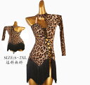 ゴージャス 社交ダンス ワンピース モダン衣装 モダンドレス レッスン着 ステージ衣装 ワルツ スレンダー 社交ダンス 競技用のドレス ダンス ダンスウェア 社...