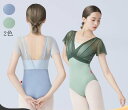 バレエレオタード バレエ衣装 演出用 ダンスウエア バレエダンス ダンス服 バレエ 大人 バレエ用品 社交ダンス 新体操 ウォームアップ 練習着 半袖 ジャズ ...
