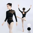 社交ダンス 新体操 ウォームアップ 練習着 長袖 バレエレオタード バレエ衣装 演出用 ダンスウエア バレエダンス ダンス服 バレエ 大人 バレエ用品 ジャズ ...