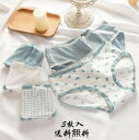 婦人用ショーツセット 下着 送料無料 ショーツのみ 単品 インナー 新品 シンプル パンツ快適 美尻 レディース 5枚セット 女性 母 ママ 春秋冬夏 福袋 肌着 通気性 セクシー 20代30代40代50代 M L XL 抗菌防臭 高校生 肌着 中学生 三角 薄手(4)