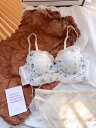 レースブラセット bra set ブラ ショーツセット セクシー セットアップ ランジェリー 2点セット 小胸 勝負下着 ショーツ 谷間ブラ 軽い ブラセット 送料無料 ブラジャー 上下セット 超盛り ワイヤーなし ブラ&ショーツ セット 薄手 ブラ 学生 可愛い 少女 通気性 女性 デート