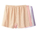 ショーツのみ 福袋 高齢者 すっぽり 女性下着 ショーツ セット パンツ まとめ買い おばあさん パンティ ショーツセット 4枚セット 通気 抗菌防臭 快適 女...