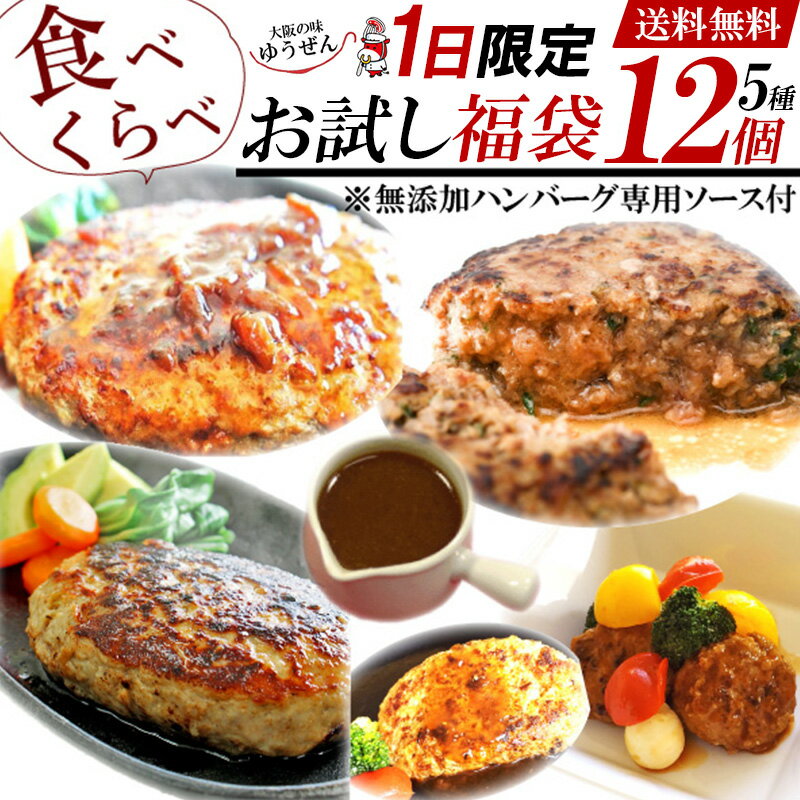 [次回6月1日] ＼5種 ハンバーグ福袋 ソース付／ 限定ハンバーグ入 食べ比べ セット 贅沢グルメ福袋 お試し 1日限定 詰め合わせ 送料無料 通販 仕送り 冷凍 食品 肉 惣菜