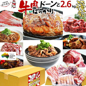 肉 福袋 牛肉ばっかり 2kg超 セット お取り寄せグルメ テレビや雑誌でも話題の 楽天1位 ハンバーグ入 冷凍 食品 通販 送料無料 牛ヒレ肉 牛ロース肉 牛バラ 牛ミンチ