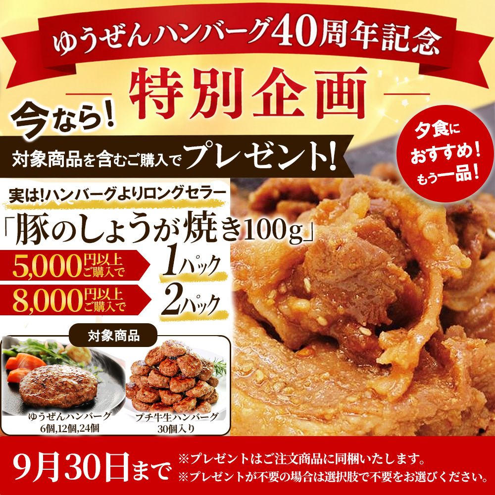 [ 40周年記念プレゼント企画 ] 肉汁あふれる 牛肉 100% 無添加 ゆうぜん ハンバーグ 150g×24食 セット (3.6kg) 【送料無料】 楽天ランキング1位 お取り寄せ グルメ 冷凍 食品 肉 惣菜 美味しい おかず 子供 安心 時短 敬老 敬老の日 内祝い 誕生日 yuuzen-10000739 大阪の味ゆうぜん 【製造直売】 サンプル画像2