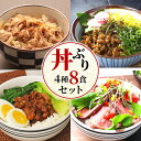 丼ぶりセット 4種8食 無添加 牛丼 ルーローハン 鶏のつみれ そぼろ丼 ローストビーフ 丼 お取り寄せ グルメ 冷凍 おかず 簡単調理