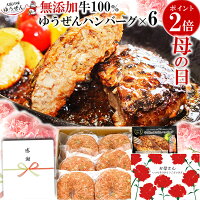 [ 母の日 まだ間に合う プレゼント] 楽天1位 ハンバーグ ギフト仕様 こだわり無添...