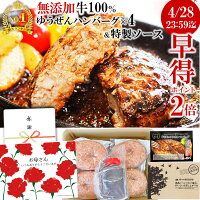 [ 母の日 早割 P2倍] 楽天1位 ハンバーグ ギフト仕様 無添加 ゆうぜんハンバーグ ...