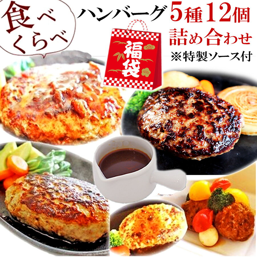 [12/3 10:00～ 師走の特別企画！近江牛入り] 5種 ハンバーグ 福袋 ソース付食べ比べ セット お試し 詰め合わせ 送料無料 通販 仕送り 冷凍 食品 肉 惣菜 明和食品 贅沢グルメ うま味調味料 無添加のサムネイル