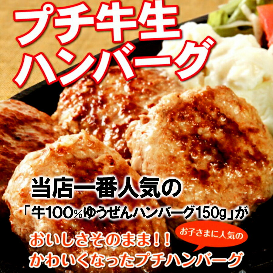 [ 5/16 01:59まで マラソン 目玉 セール ] ＼高レビュー4.85／牛100％ プチ牛生 ハンバーグ 40g×30個 お弁当に 本格ハンバーグ 送料無料 惣菜 牛肉 ミニハンバーグ 焼くだけ お弁当 グルメ おかず 冷凍 食品 無添加 自然派志向 ギフト