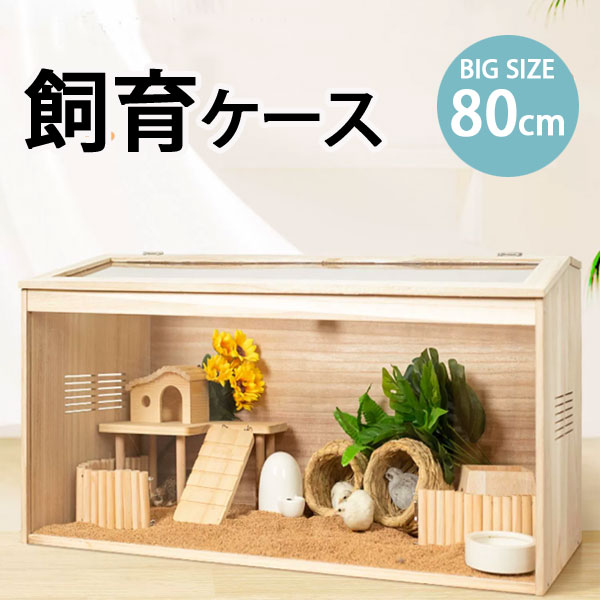 楽天市場】爬虫類ケージ 80の通販 楽天市場】爬虫類ケージ 80の通販