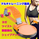 筋トレ器具 マルチトレーニング フィットネス エクササイズ コアツイスト コア スマート 腹筋 マシン シートが回転してツイスト運動が可能