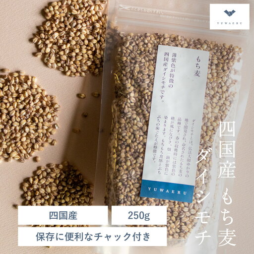 もち麦 250g 雑穀 ダイシモチ 四国産 | マクロビオティック マクロビ 国産もち麦 むぎ 麦 ヘルスケア 腸活 栄養 食品 プレゼント 食べ物 アントシアニン ポリフェノール ダイエットサポート 食物繊維 ざっこく 栄養食 健康 美容 国産 餅麦 もちむぎ 結わえる もち麦 250g 雑穀 ダイシモチ 四国産 | マクロビオティック マクロビ 国産もち麦 むぎ 麦 ヘルスケア 腸活 栄養 食品 プレゼント 食べ物 アントシアニン ポリフェノール ダイエットサポート 食物繊維 ざっこく 栄養食 健康 美容 国産 餅麦 もちむぎ 結わえる