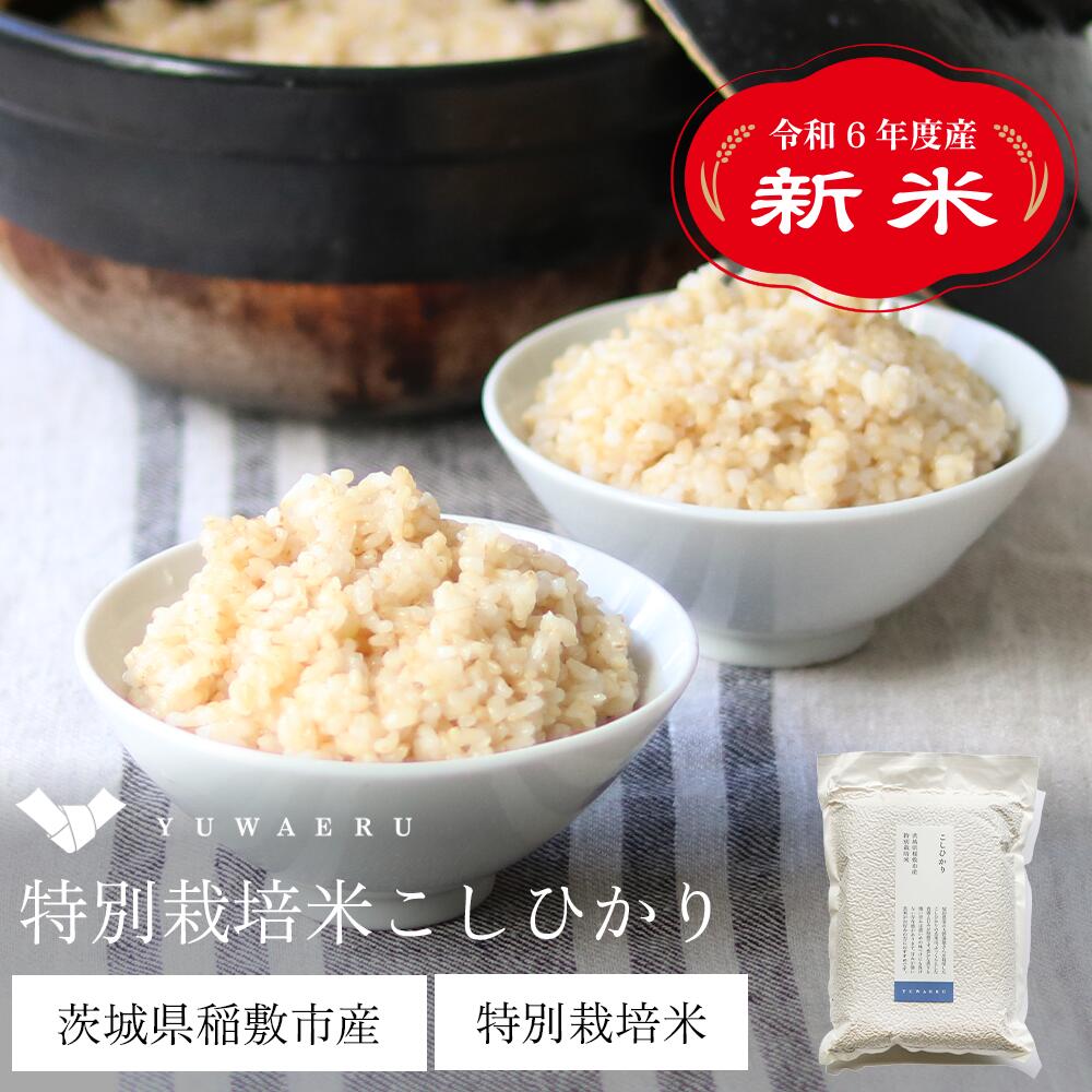 令和4年度産 茨城県産 特別栽培玄米「コシヒカリ」（2kg/5kg） | 寝かせ 玄米 寝かせ玄米 寝かせ玄米ごはん ご飯 お米 米 食品 健康 栄養 こめ 美味しい ごはん 玄米ご飯 玄米ごはん 糖質制限 ヘルシー マクロビ マクロビオティック ヴィーガン 結わえるのサムネイル