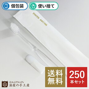 【あす楽】＼ランキング獲得／ 「高級 使い捨て歯ブラシ X24 M袋 250本」 高級 クリア セット ハブラシ 歯ブラシ 歯ミガキ粉 チューブ付 個包装 大量 まとめ買い 業務用 アメニティ お泊り ホテル 旅館 宿泊施設 来客 国産 防災備蓄 送料無料