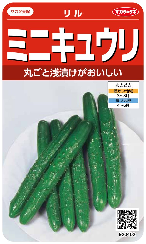 ミニキュウリ 種子 家庭菜園用 野菜の種 栽培キット 種まき ガーデニング 園芸用 種子 小さい きゅうり 苗床用