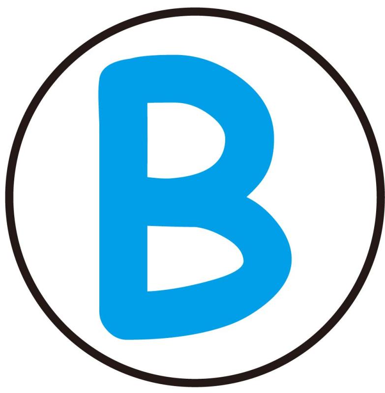 ゴーグルケース用アクセサリー【B】 WBL