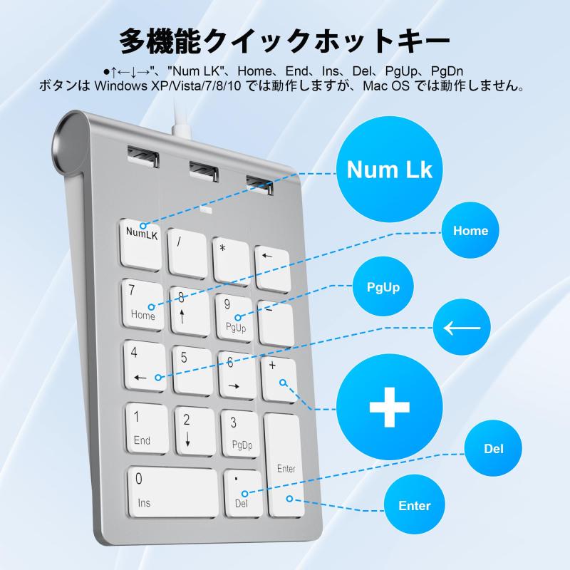 桜井 スターパックエコ 薄ネズ A4(大) W245×D50×H305mm 面ファスナータイプ 2穴 6φ A45DM6 1パック(10枚)【代引不可】【北海道・沖縄・離島配送不可】