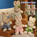 ぬいぐるみ ウサギ うさぎ 兎 ふわふわ かわいい ウサギのぬいぐるみ 服付き 抱き枕 キッズ おもちゃ 出産祝 子供 お誕生日 贈り物 プレゼント ギフト 35cm 50cm(3)
