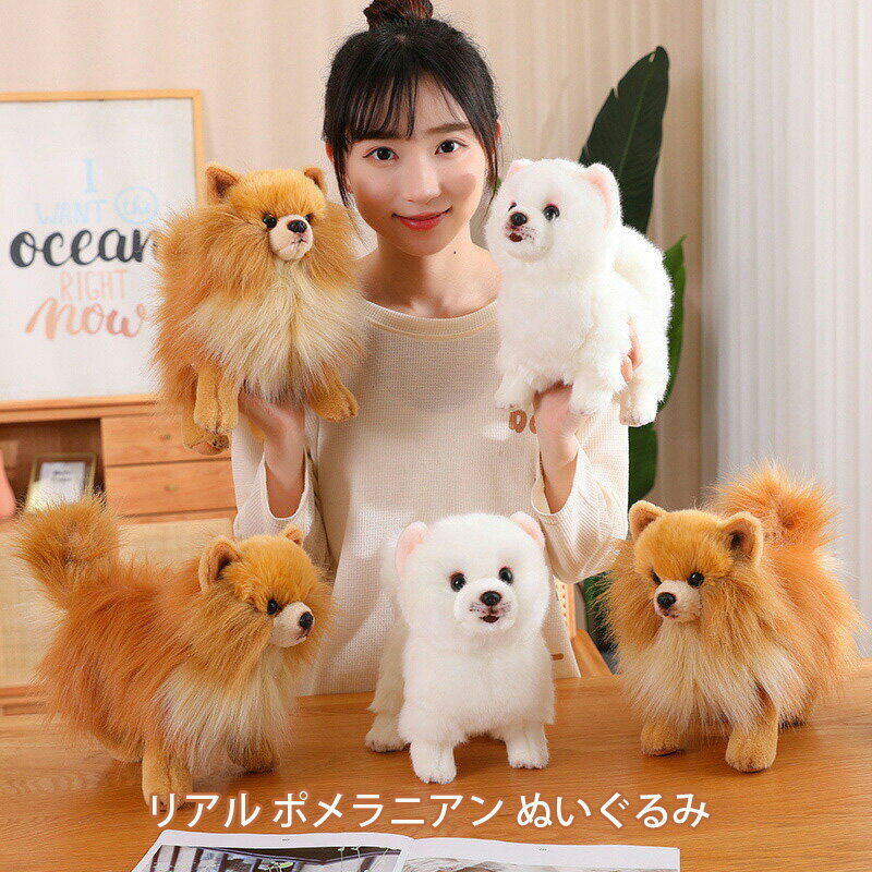 いぬ 犬 ぬいぐるみ ポメラニアン イヌ リアル かわいい 癒し ふわふわ 柔らかい 動物 置物 インテリア プレゼント クリスマス 誕生日 バレンタイン ホワイトデー 贈り物のサムネイル